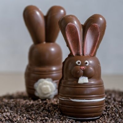 Lapins de pâques