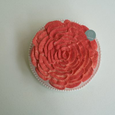 GRANDE FLEUR DE PRINTEMPS