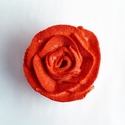 GRAND FLEUR DE PRINTEMPS
